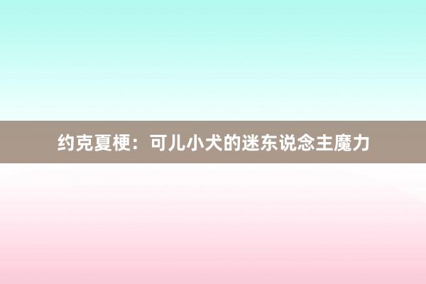 约克夏梗：可儿小犬的迷东说念主魔力